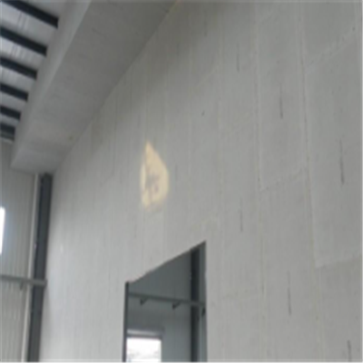 隆安宁波ALC板|EPS加气板隔墙与混凝土整浇联接的实验研讨